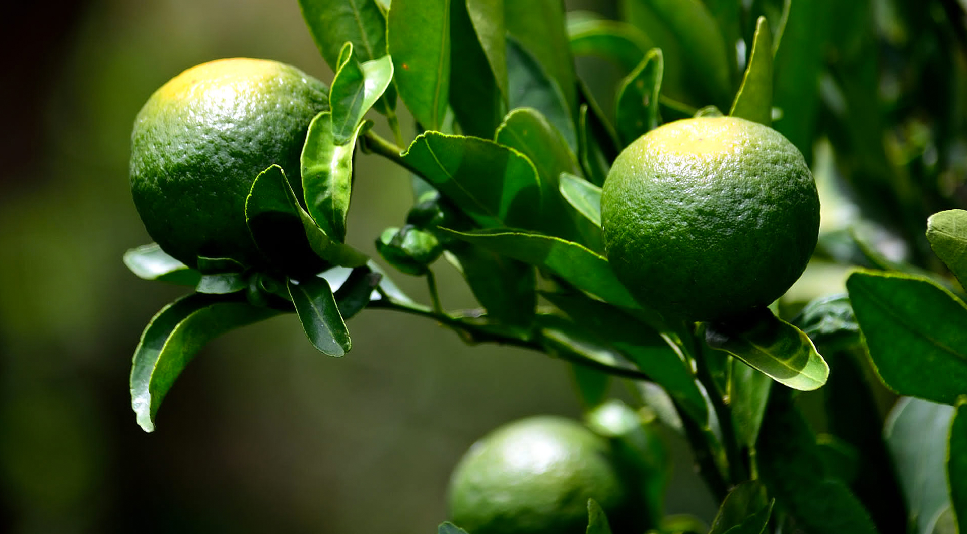 Bwin·必赢亚洲(CHINA)官方网站-安全入口