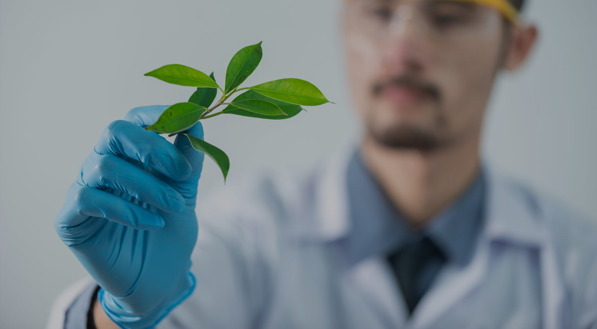 Bwin·必赢亚洲(CHINA)官方网站-安全入口