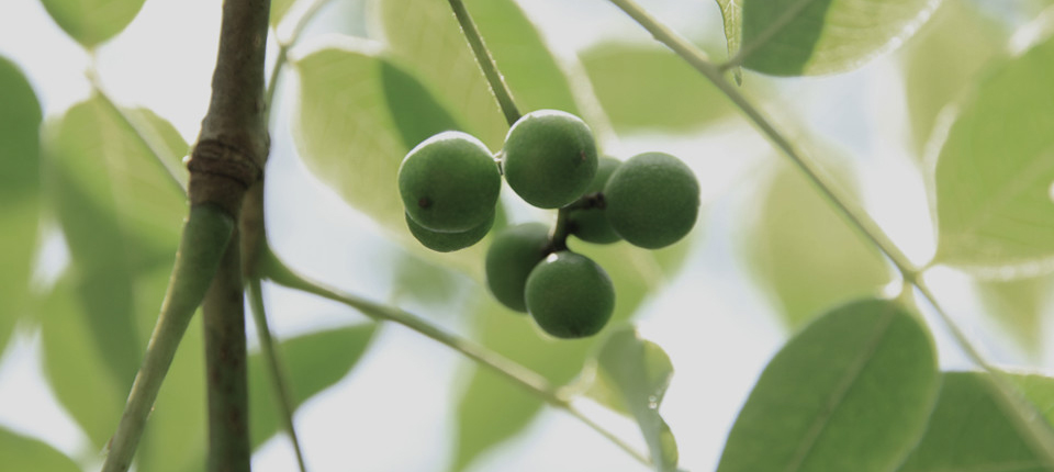 Bwin·必赢亚洲(CHINA)官方网站-安全入口